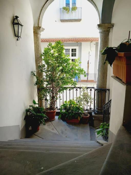 Nilo 28 House Διαμέρισμα Νάπολη Εξωτερικό φωτογραφία